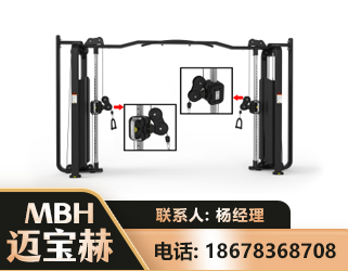 韶关大飞鸟训练器